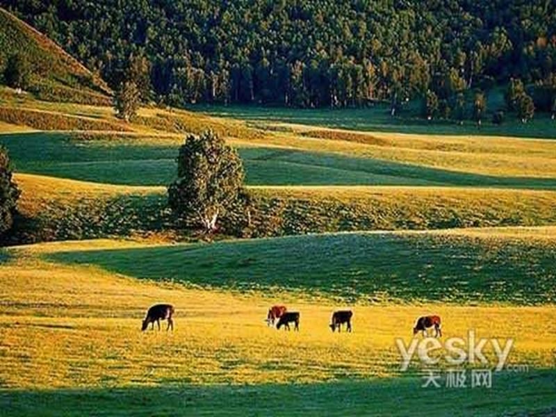 苏少版音乐三上《草原上升起不落的太阳》课件.ppt_第2页