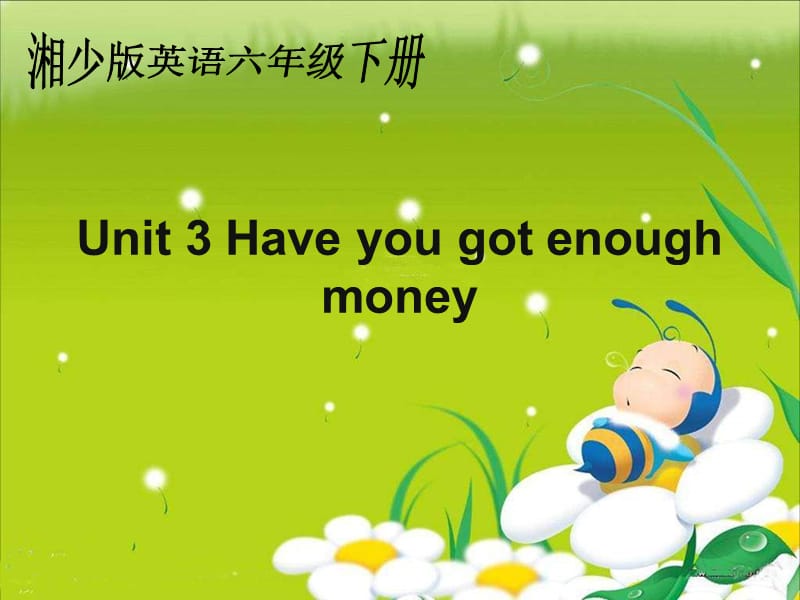 湘少版六下《Unit 3 Have you got enough money》ppt課件.ppt_第1頁