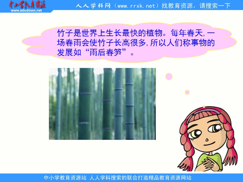 北师大版数学四上《总复习》ppt课件.ppt_第3页