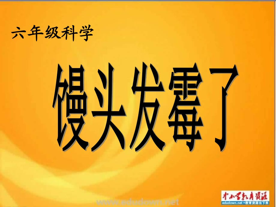 青島版科學(xué)六上《饅頭發(fā)霉了》ppt課件.ppt_第1頁(yè)