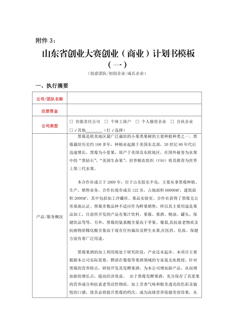 黑莓项目创业计划书.doc_第1页