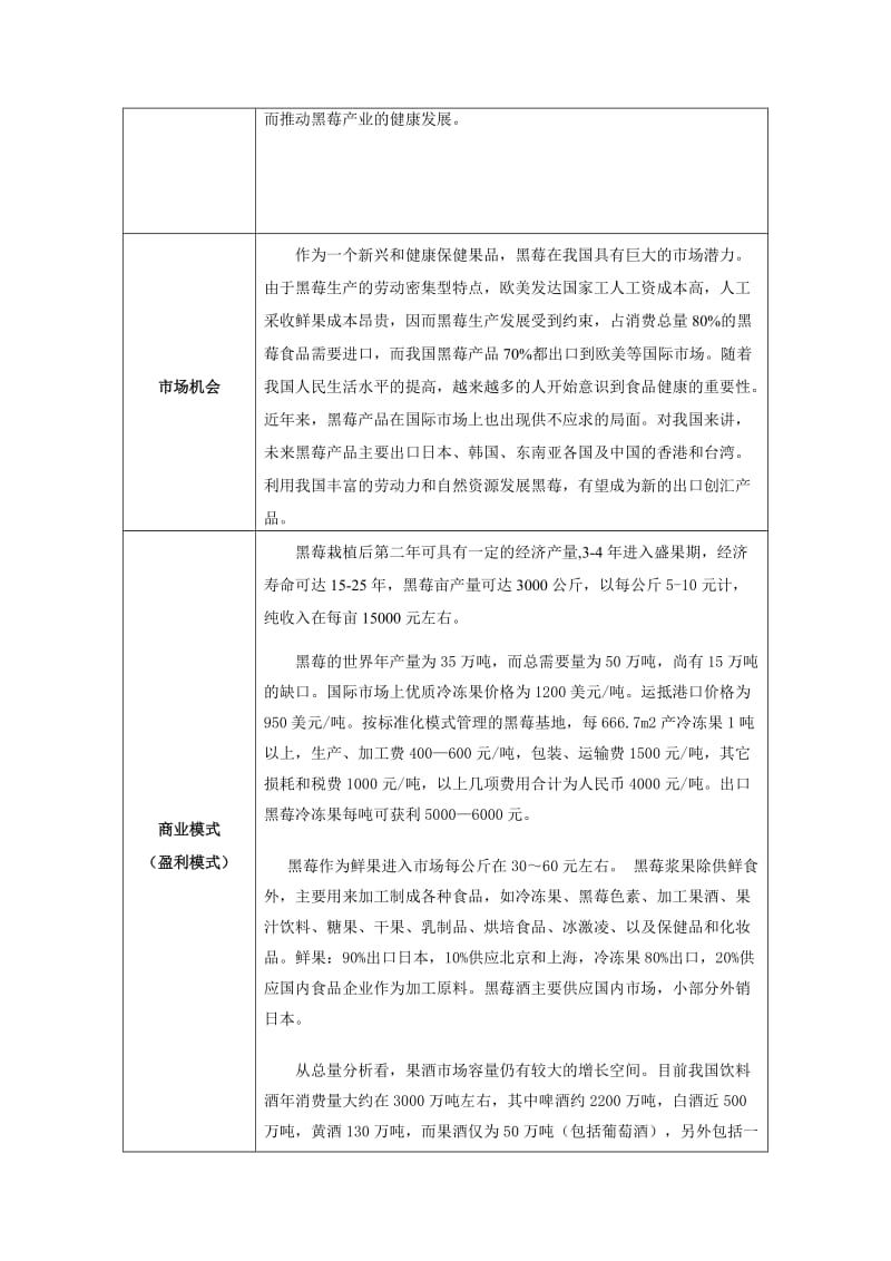 黑莓项目创业计划书.doc_第2页