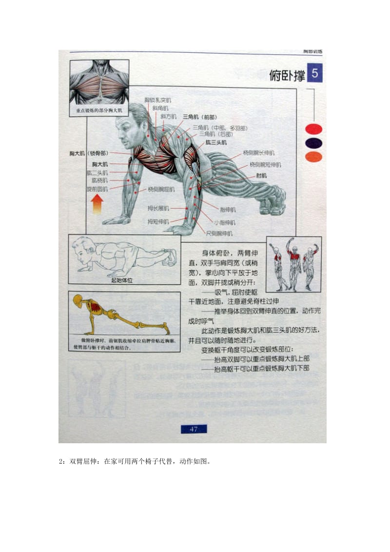 全身肌肉健身计划.doc_第2页