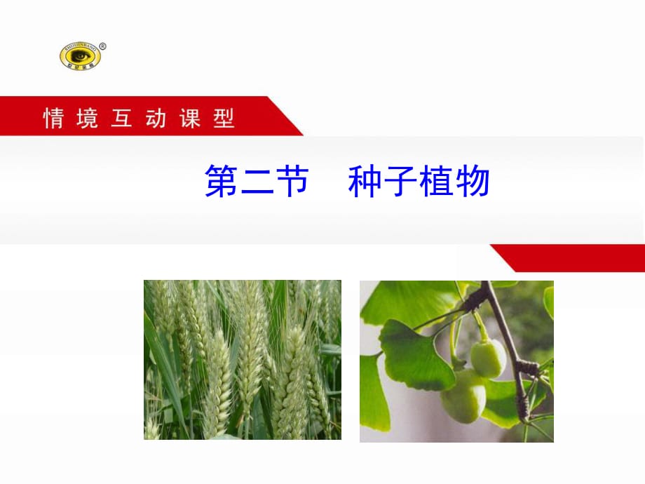 2015-2016学年七年级生物上册 3.1.2 种子植物教学课件 （新版）新人教版.ppt_第1页