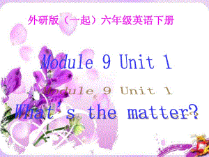 外研版（一起）六下《Unit 1 What’s the matter》課件3.ppt