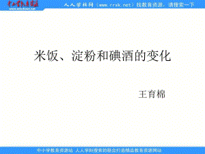 教科版科學(xué)六下《米飯、淀粉和碘酒的變化》ppt課件2.ppt