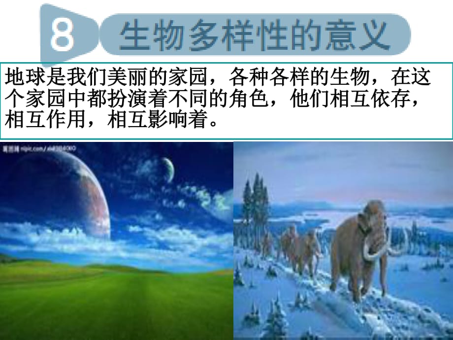 教科版科學六上《生物多樣性的意義》PPT課件3.ppt_第1頁