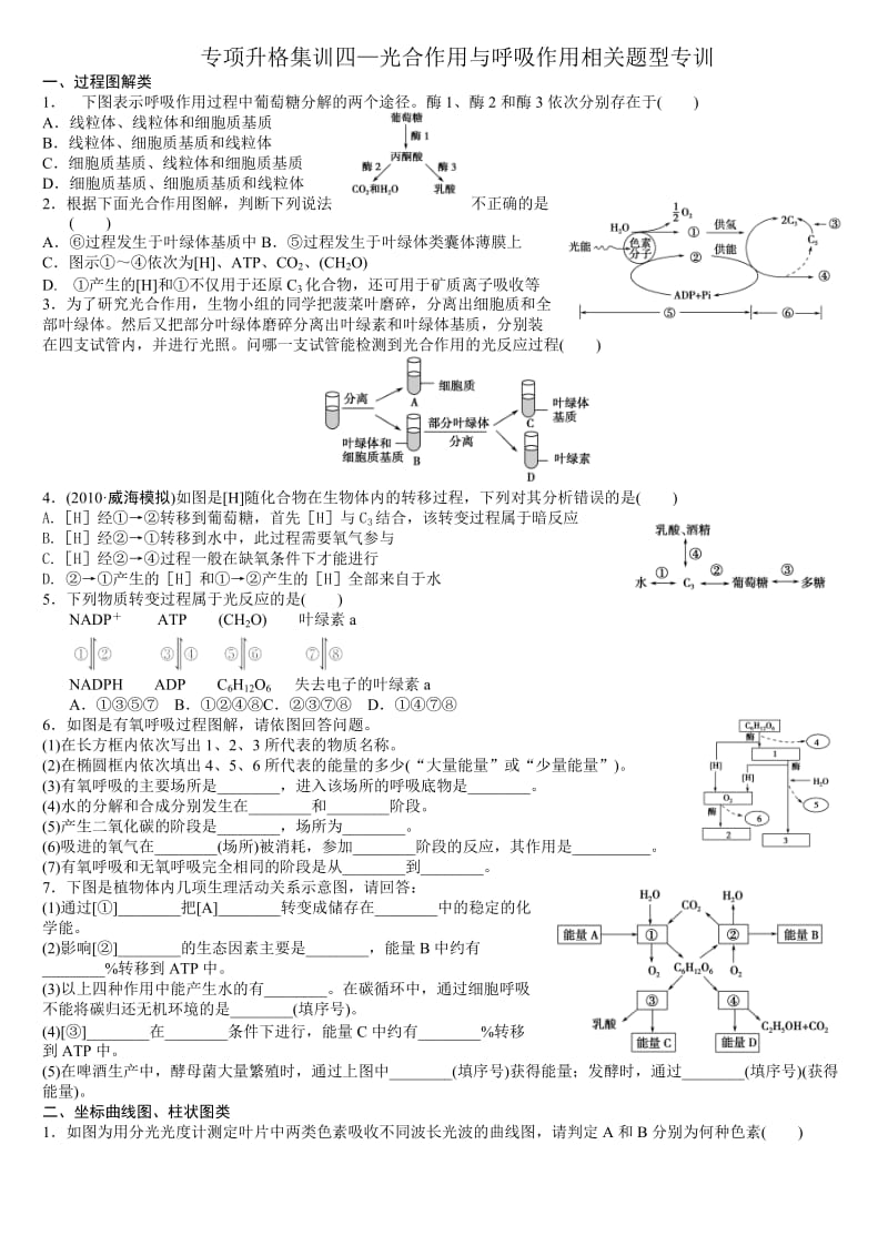 光合作用与呼吸作用相关题型专训.doc_第1页