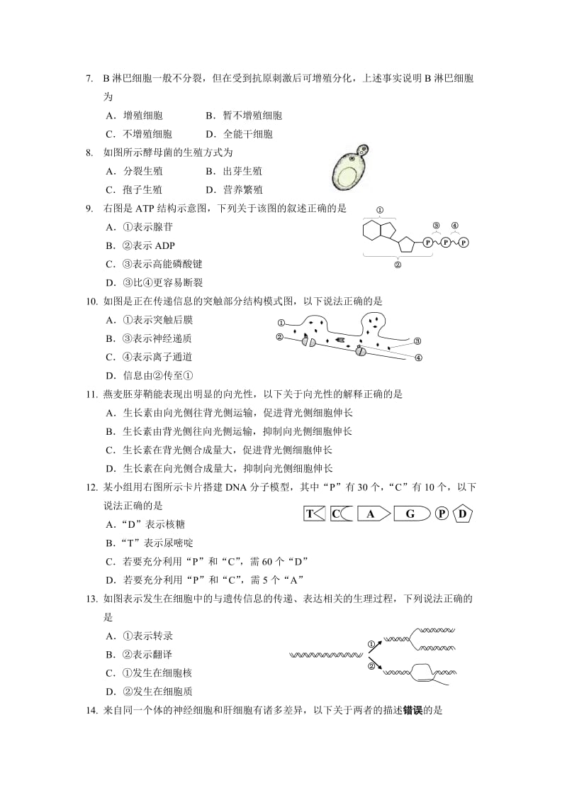 2019静安生物一模(有答案).doc_第2页