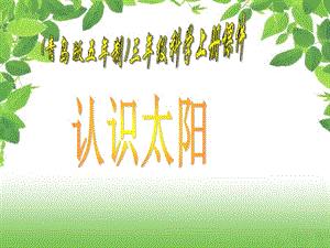 青島版科學(xué)三上《認(rèn)識太陽》PPT課件.ppt