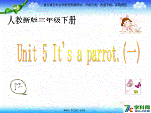 人教版（精通）英语三下《Unit 5 It’s a parrot》ppt课件4.ppt