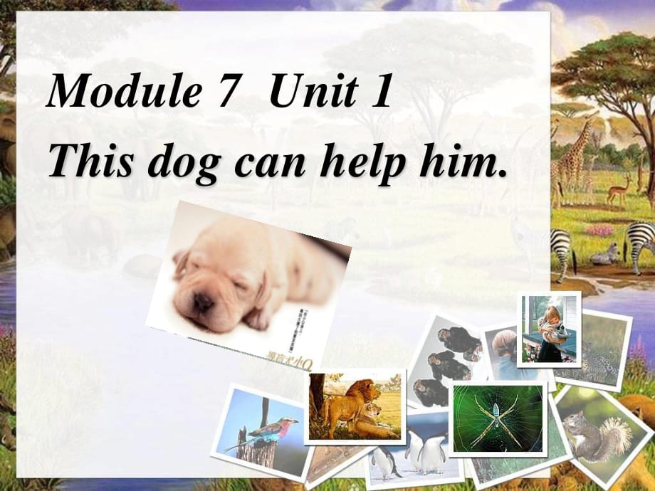 外研版（一起）五上Module 7《Unit 1 This dog can help him》ppt課件1.ppt_第1頁