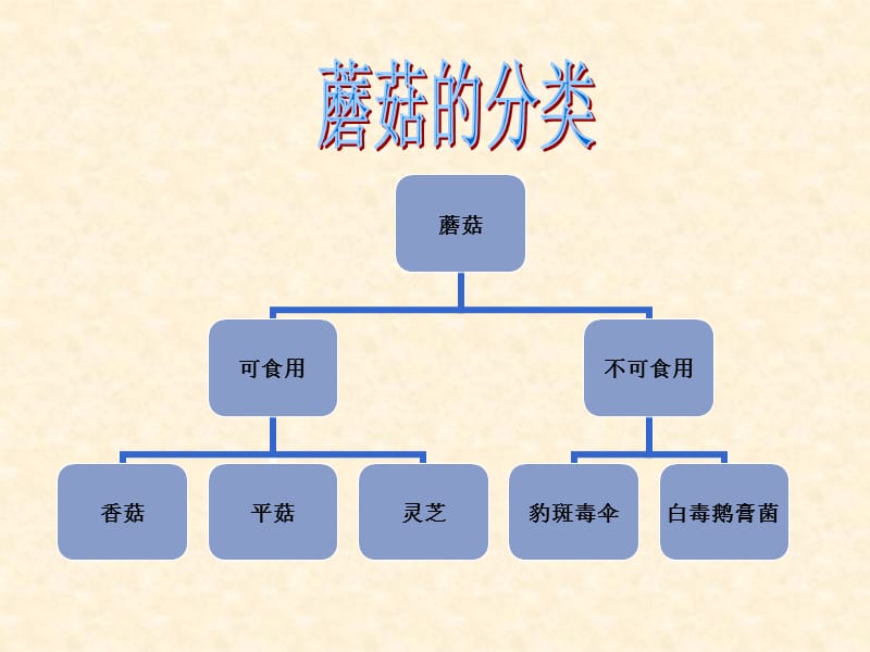 鄂教版科学五年级上册第4课《蘑菇》ppt课件2.ppt_第2页