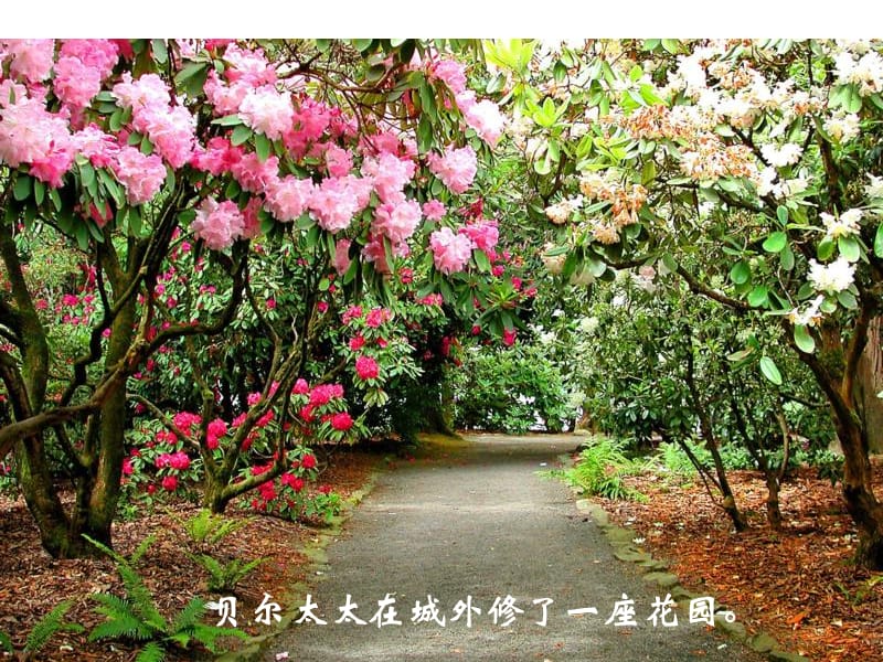 滬教版語文三下《荒蕪的花園》ppt課件1.ppt_第1頁