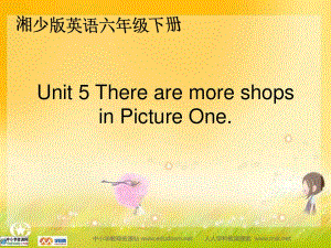 湘少版六下《Unit 5 There are more shops in Picture One》ppt课件.ppt