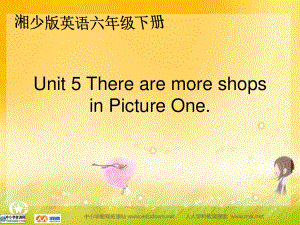 湘少版六下《Unit 5 There are more shops in Picture One》ppt課件.ppt