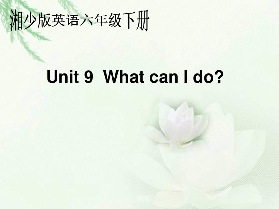 湘少版六下《Unit 9 What can I do》ppt课件.ppt_第1页