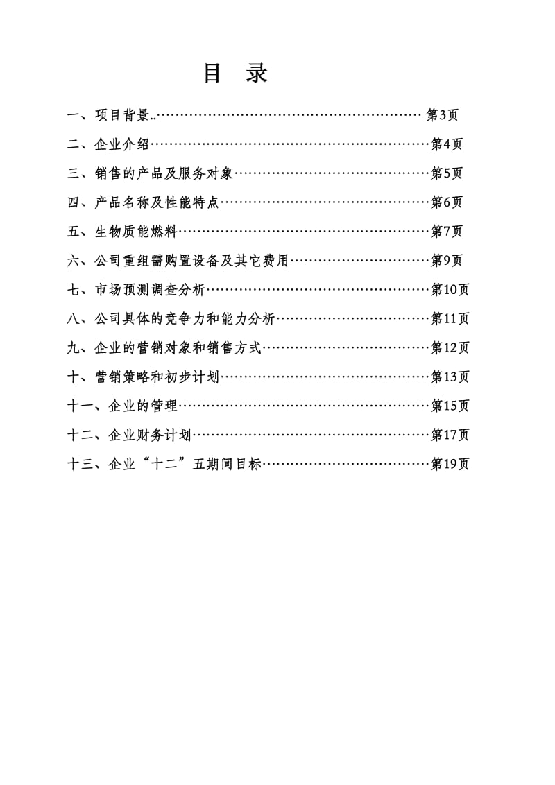 公司项目计划书.doc_第2页