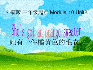 外研版（三起）三下Module 10《Unit 2 She’s got an orange sweater》ppt課件1.ppt