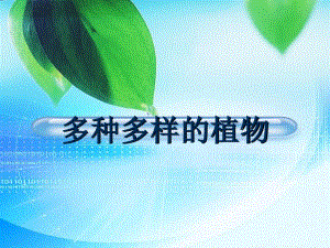 教科版科學(xué)六上4.3《多種多樣的植物》ppt課件4.ppt