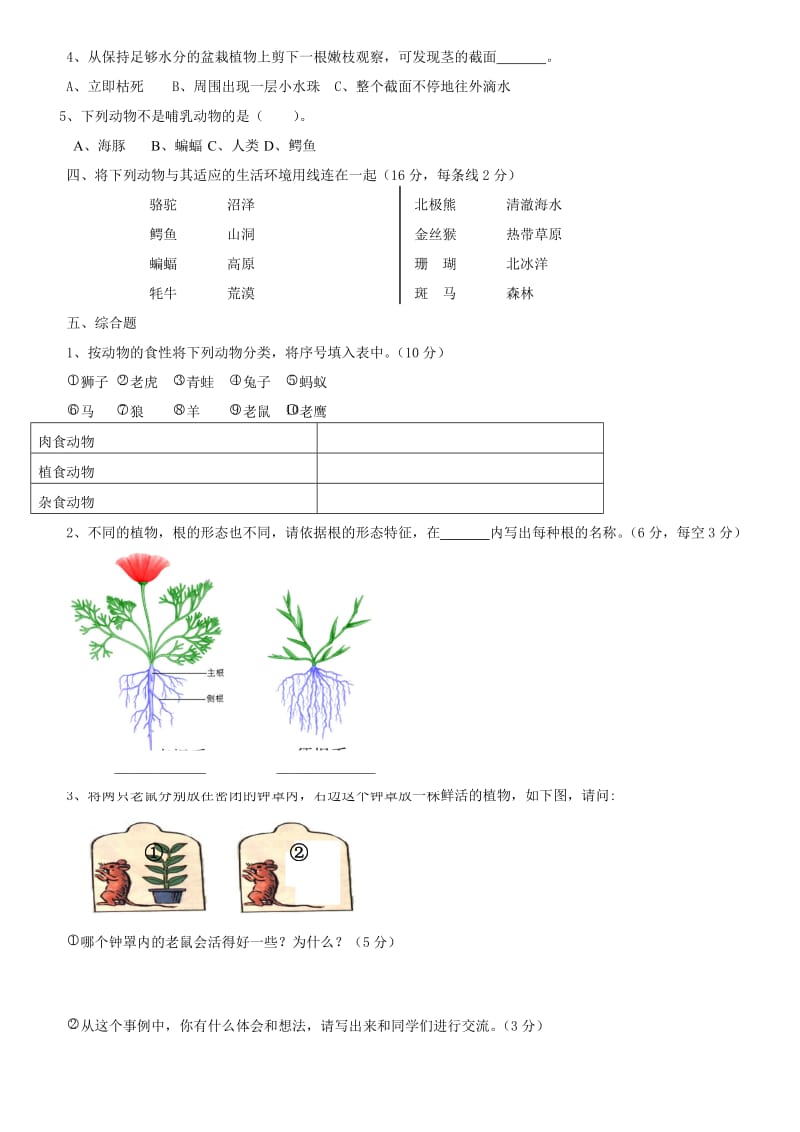 湘教版四年级上册科学期中测试卷.doc_第2页