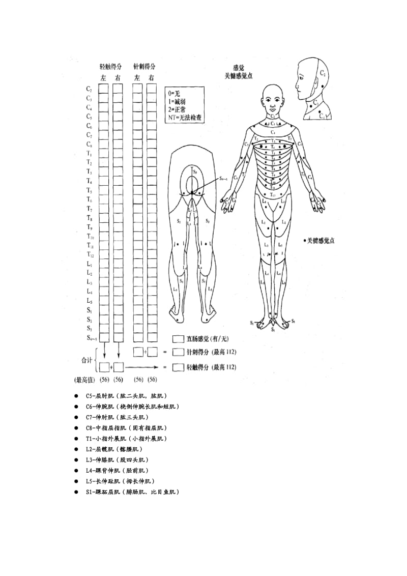 脊髓损伤评定表.doc_第2页