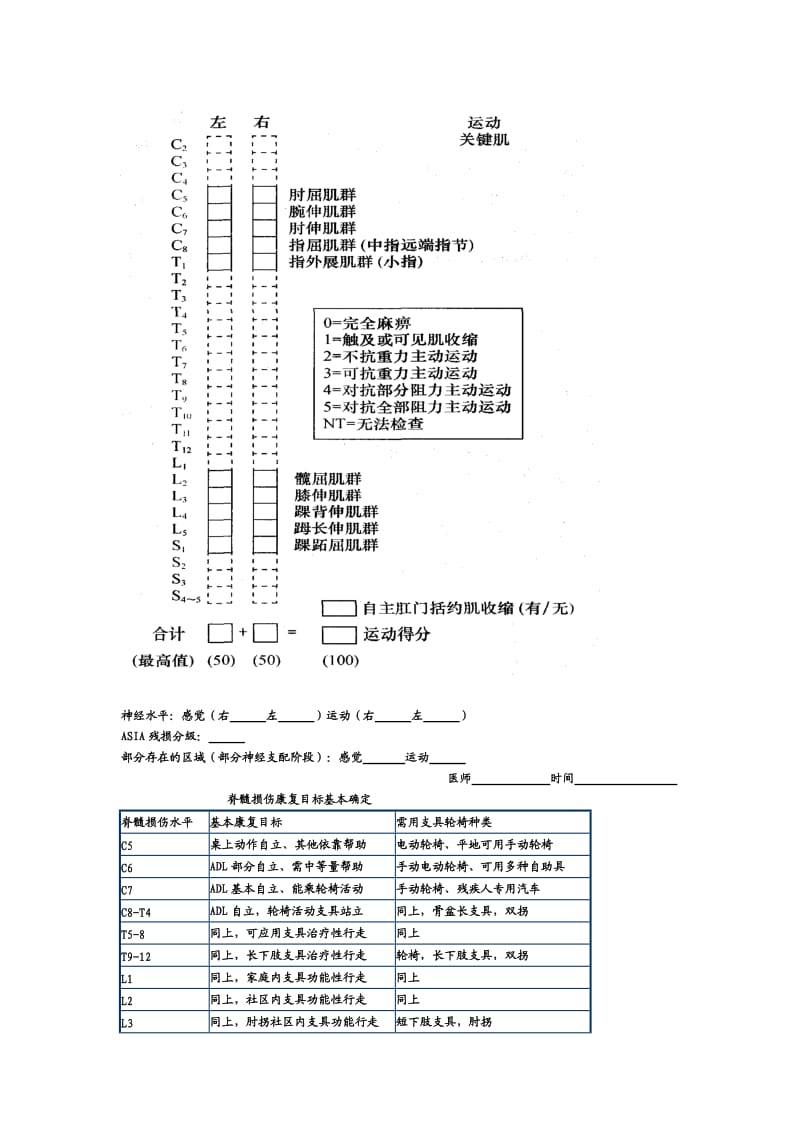 脊髓损伤评定表.doc_第3页