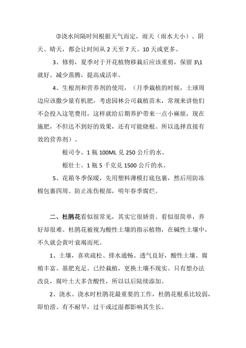 进出口银行门前养护计划.docx_第2页