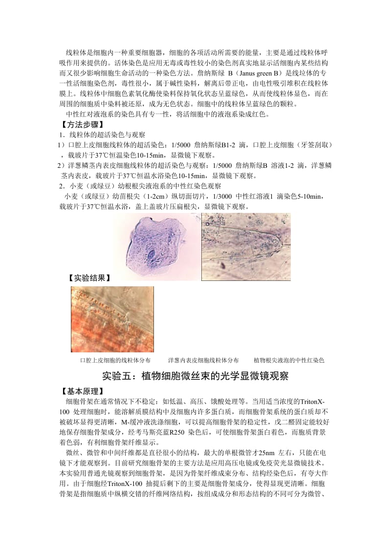 细胞生物学实验汇总.doc_第3页