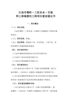 網上商城恵民工程項目建議書.doc