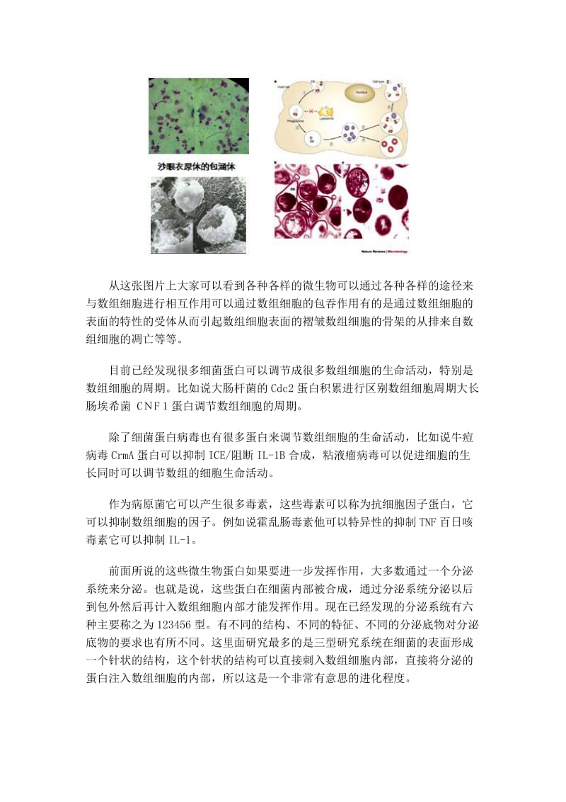 细胞微生物学讲座.doc_第3页