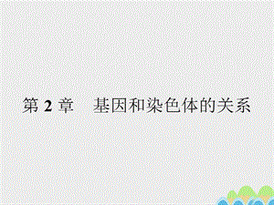 2016-2017學年高中生物 2.1 減數(shù)分裂和受精作用課件 新人教版必修2.ppt