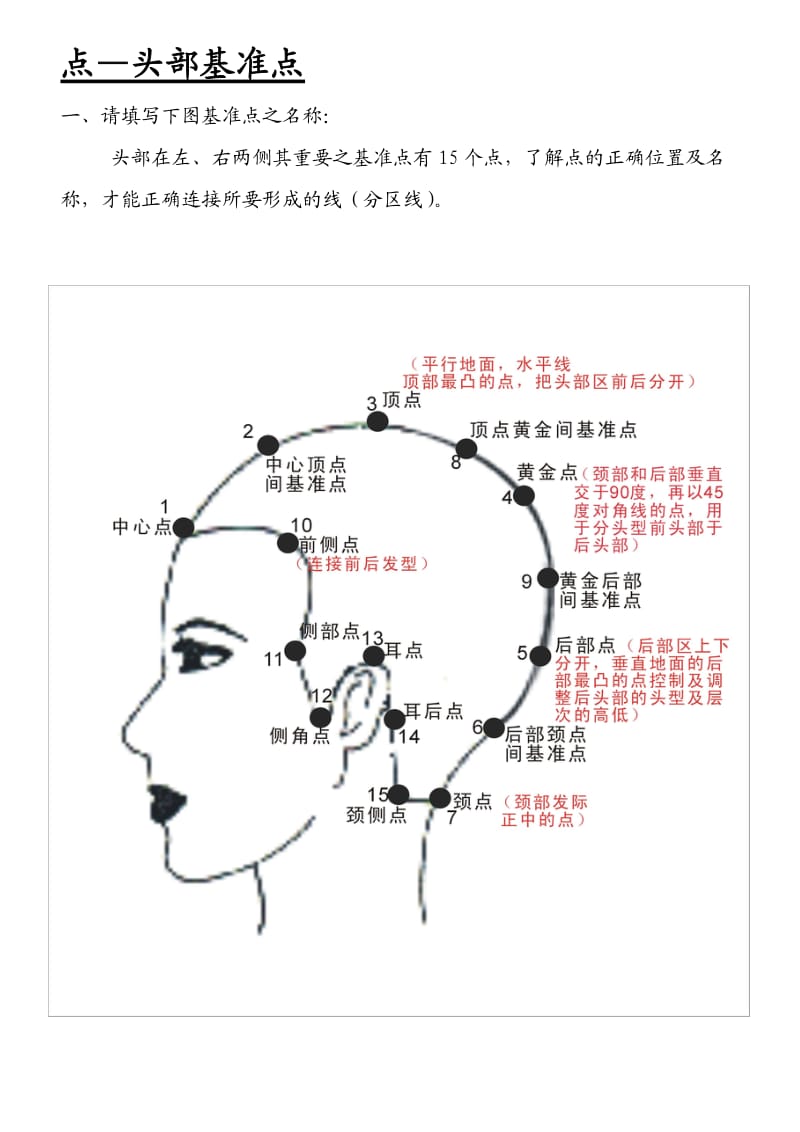 发型师必备美发基础点、线、面剪发知识.doc_第1页