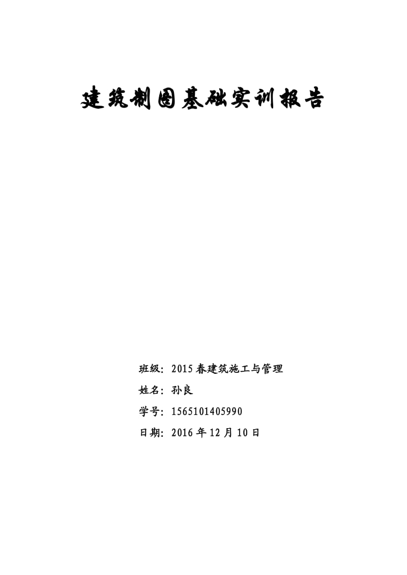 建筑制图基础实训报告.doc_第1页