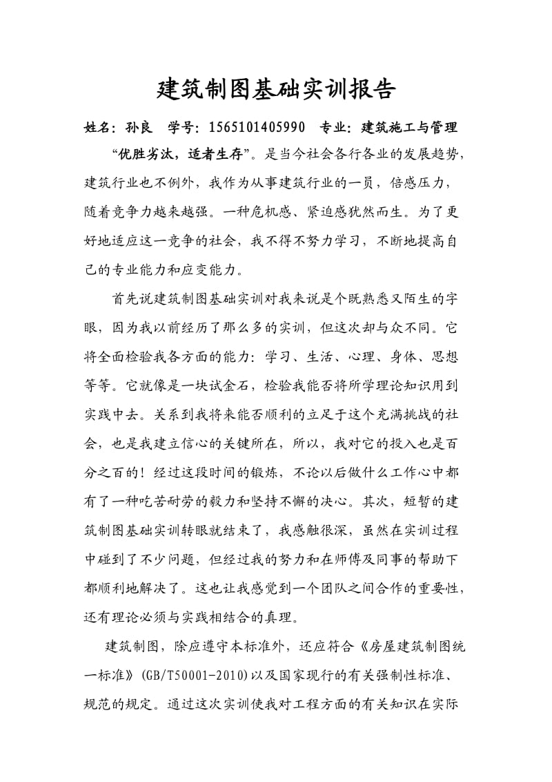 建筑制图基础实训报告.doc_第2页