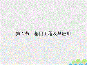 2016-2017學(xué)年高中生物 6.2 基因工程及其應(yīng)用課件 新人教版必修2.ppt