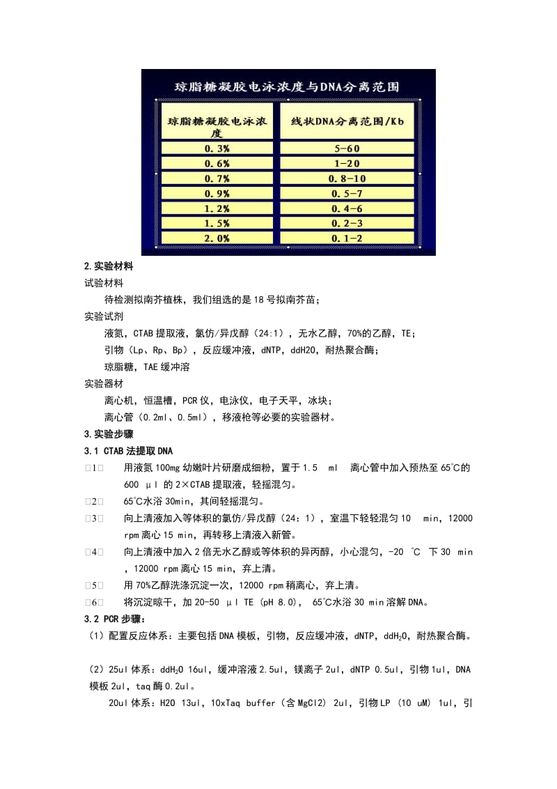 T-DNA插入鉴定实验报告.doc_第2页