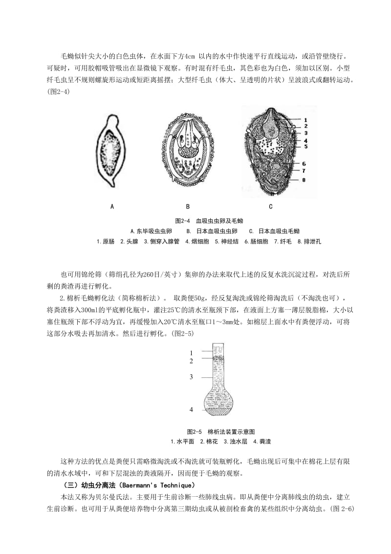 实验二动物蠕虫学粪便检查技术二.doc_第3页