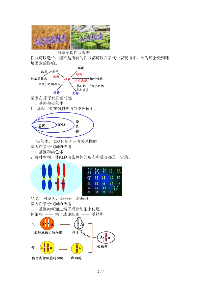 中考生物专题复习十九生物的生殖与发育上讲义新人教版(1).doc_第2页