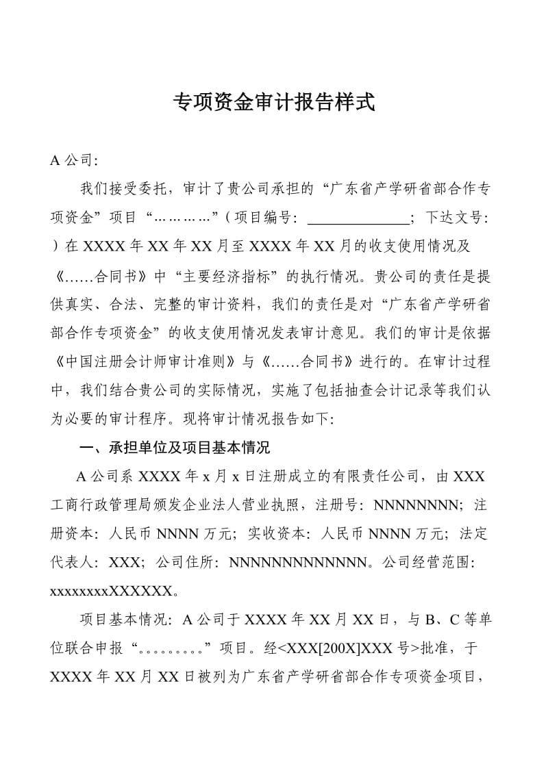 专项资金审计报告样式.doc_第1页