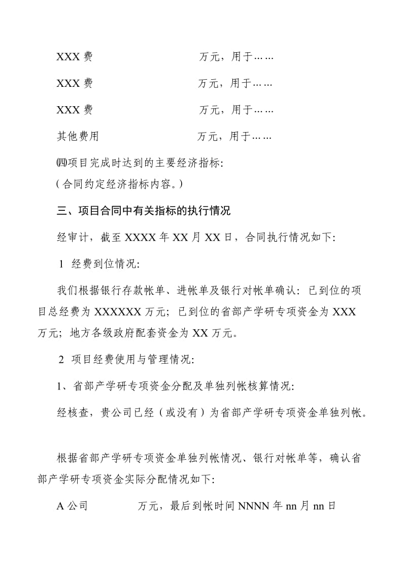 专项资金审计报告样式.doc_第3页