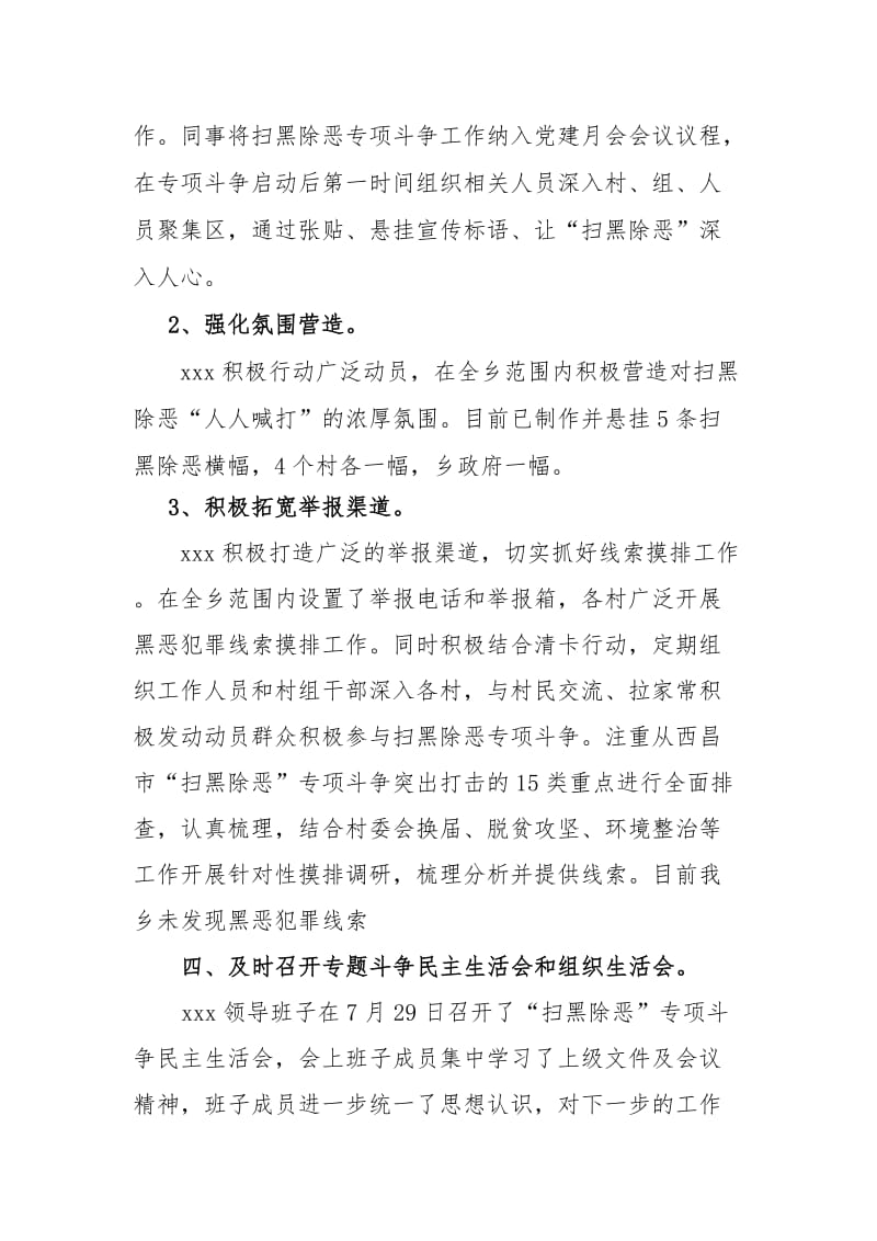 xxx扫黑除恶工作总结.doc_第2页