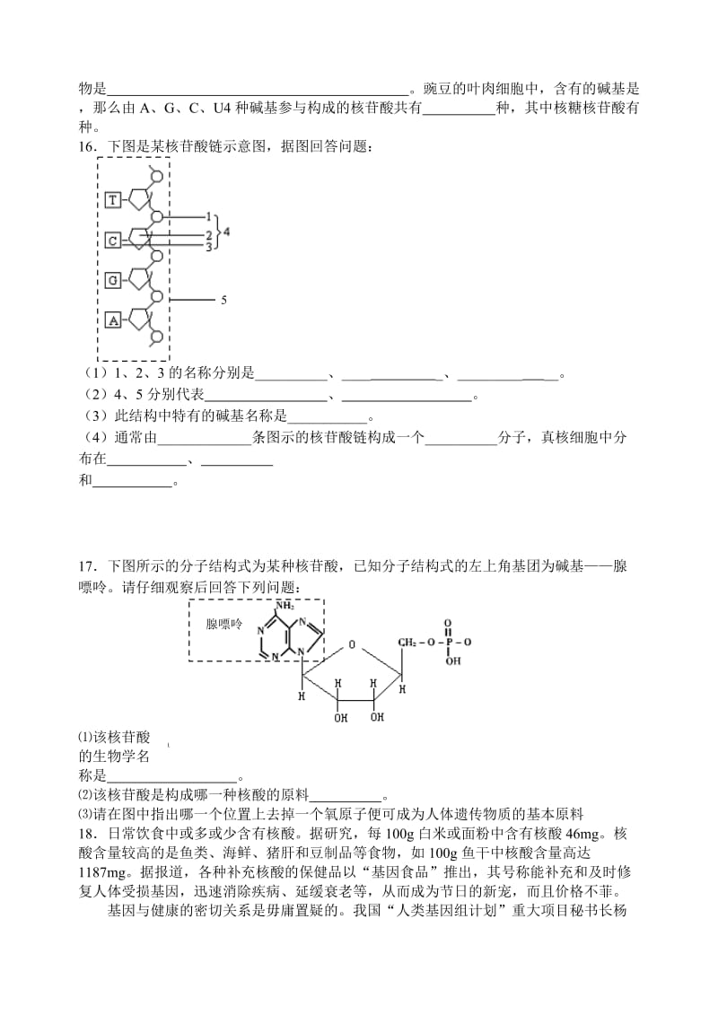 高一生物核酸测试题.doc_第3页