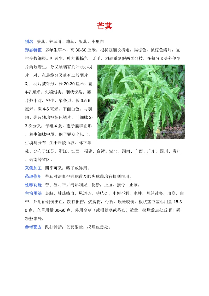 中草药彩色图片大全.doc_第1页