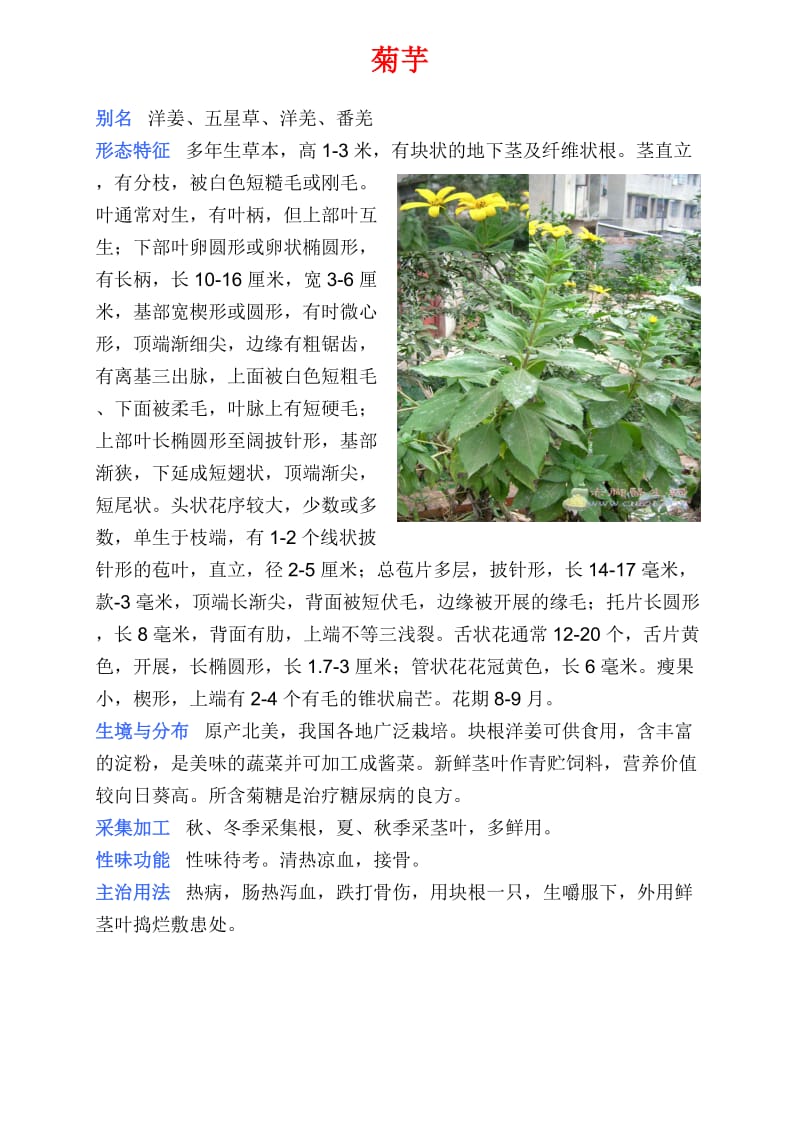 中草药彩色图片大全.doc_第2页