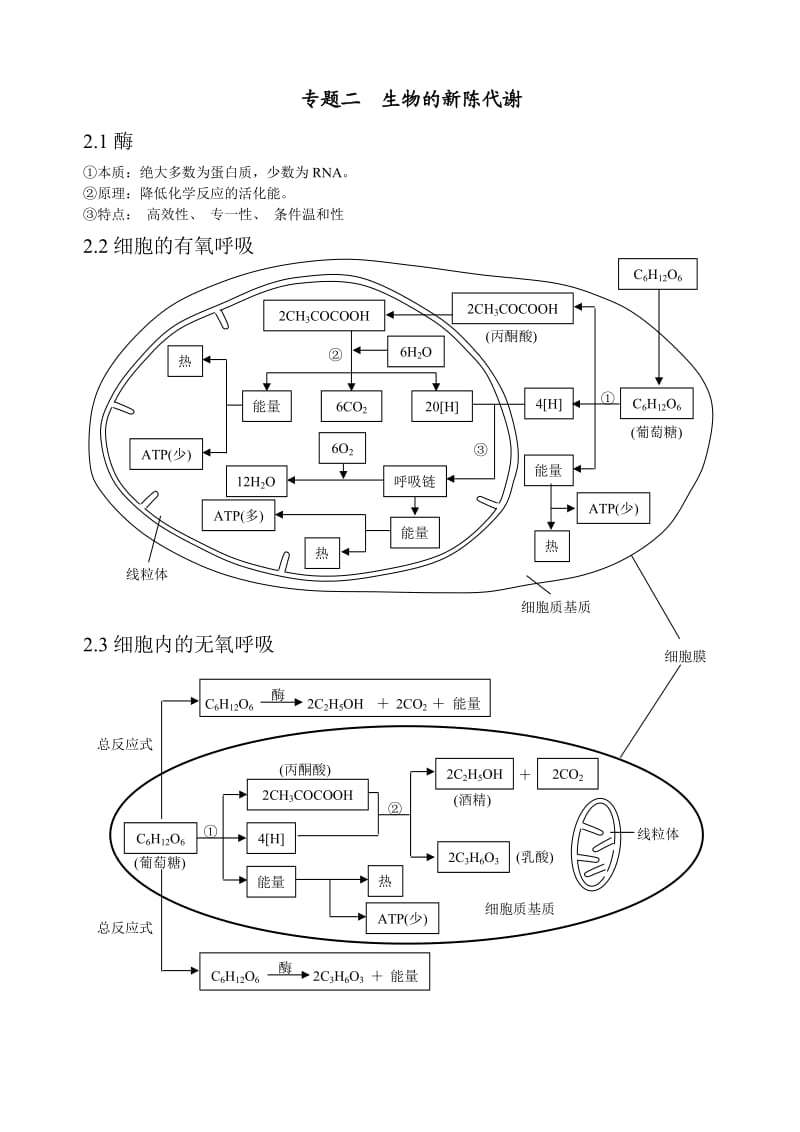 细胞代谢基础知识点.doc_第1页