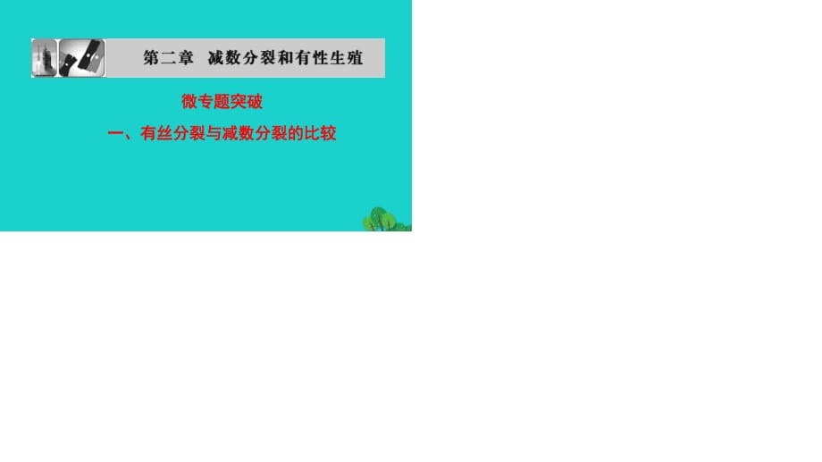 2016-2017学年高中生物第2章减数分裂和有性生殖微专题突破课件苏教版必修2.ppt_第1页