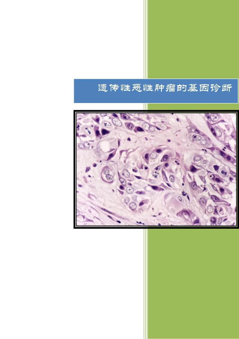 遗传性肿瘤基因检测宣传册.docx_第1页