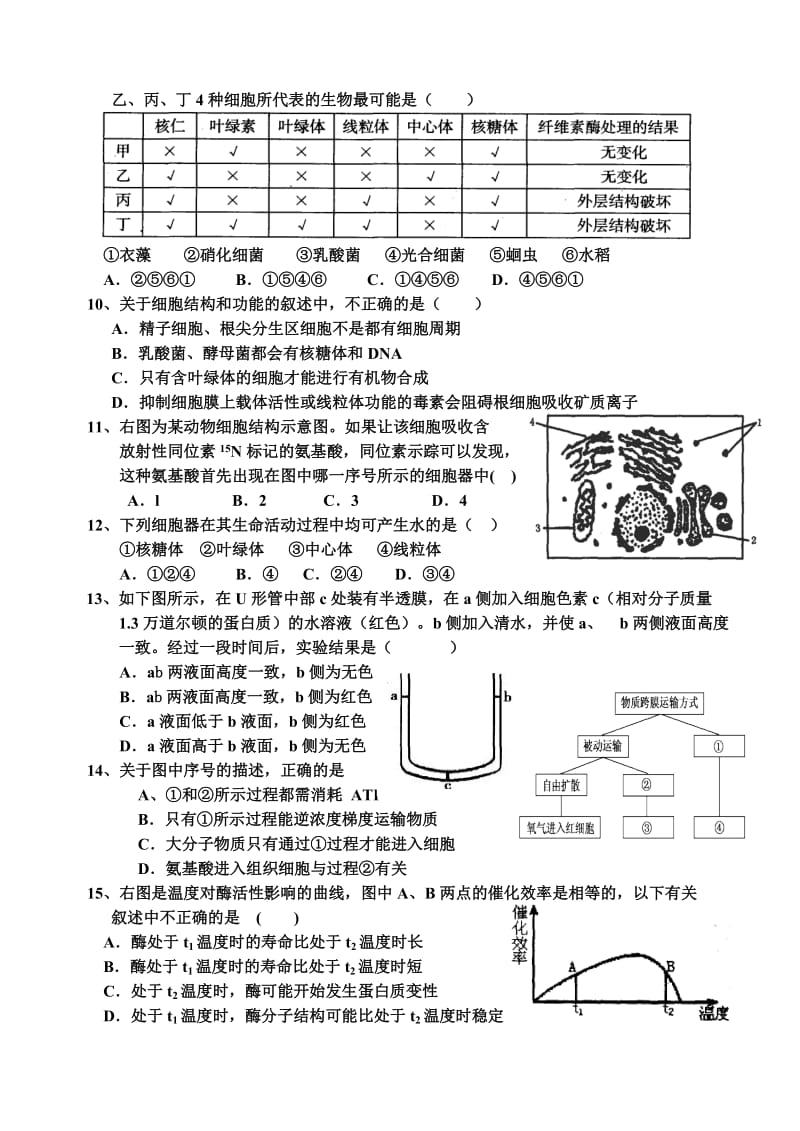 高一生物期末考试题及答案.doc_第2页