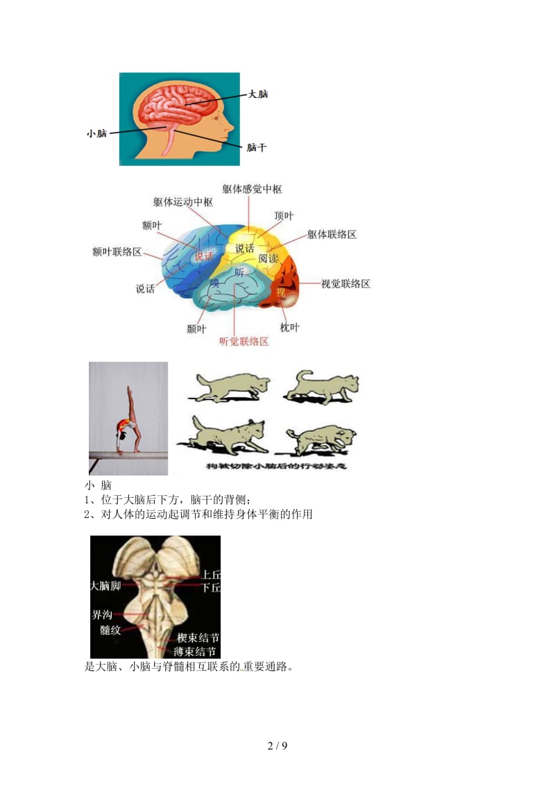 中考生物专题复习十二神经调节和激素调节讲义新人教版.doc_第2页